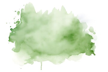 Wall Mural - Blot of green watercolor isolated on white background