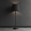 © maciej - luxury grey interior lamp and shade