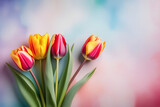 Fototapeta Tulipany - Close-up of a bouquet of colorful tulips on a pastel background with space for text