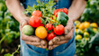 Frisches Gemüse in zwei geöffneten Händen wird präsentiert und nach vorn gestreckt. Draufsicht. Generative AI
