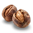 hickory nuts isolated on transparent background