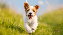 Pring Summer Concept Playful Happy Pet Dog Puppy Running In Grass, Generative Ai