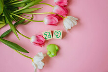 Green Frog Toy On A Pink Background With Tulip Flowers And A Number On Wooden Cubes February 29th.