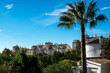 Palm trees on a windy day. View of the city of Benalmadena from the hill, Andalusia, Spain.
