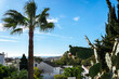 Palm trees and cacti. View of the city of Benalmadena from the hill, Andalusia, Spain.
