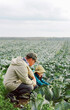 a farmer with a child inspecting a cabbage crop in a field. the concept of father day