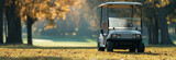 Fototapeta  - Golf cart parked on the golf course.