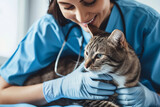 Fototapeta  - Female vet examining a cat at vet clinic. Pet at veterinarian doctor. Animal clinic. Pet check up and vaccination. Health care.