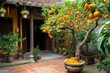 Traditional Vietnamese courtyard house. Tet Holiday, Vietnamese New Year. Kumquat tree. Symbol of wealth in Asia. Lunar New Year. Life of the Vietnamese.