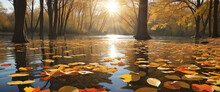 Fall Season Landscape, Fallen Leaves Floating On Water And Autumnal Sun Through Tree Foliage - Autumn Seasonal Background
