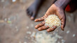 A childs hand reaching for a small portion of rice a representation of the daily struggle for food in impoverished regions.