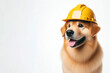 full body Engineer dog wear yellow helm isolated on solid white background. ai generative
