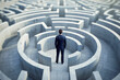 © mila103 - businessman standing at a crossroads in a maze, trying to decide which way to go.