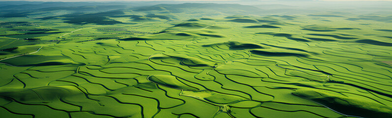  Aerial view of green fields, crops and harvests. Natural landscape.
