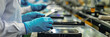 © Degimages - Mobile phone assembly factory, assembly lines with workers handling components like screens, processors, and batteries. They assemble and test mobile phones.