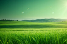 Green Grass And Sunlight Banner Background