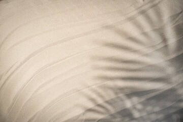 Poster - Tropical beach sand with shadows of coconut palm tree leaves. Travel and vacations concept background.