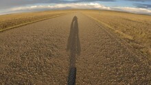POV From The Front Of A Mountain Bike Cycling Along A Gravel Road At Sunset. There Is A Perfect Shadow Of The Person Showing Them Pedalling The Bicycle. The Road Cuts Through An Open Prairie Landscape