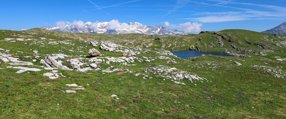 Poster - Le Lac Lérié sur le Plateau d'Emparis avec une vue magnifique sur les Alpes