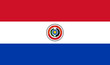 Flag of Paraguay. Paraguay flag. National symbol