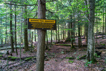 Keene,NY USA  1 31 2024: Hiking In To The Johns Brook Area Of The Keene Valley On The Approach Trails To Mt Marcy In The Adirondack Mountains.