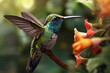 Kolibri in zeitlupe. Der kleine Vogel Kolibri fliegt durch die Luft und trinkt den Nektar aus einer tropischen Blume. Nahaufname Kolibri