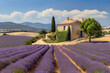 Traditionelles Farmhaus vor einer italenischen Lavendelplantage für den Beauty und Hygene Bereich