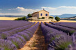 Lavendelplantage mit Framhaus vor einem Lavendelfeld. Die Farm zeigt die lange Tradition des Lavendelanbaus und den wachsenden Bedarf durch Beauty und Higene Produkte