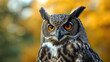 © mr_marcom - intense gaze of the owl with its radiant orange eyes and intricate feather plumage stands out against the autumn bokeh background