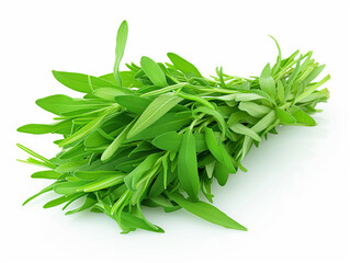 Wall Mural -  Fresh Tarragon isolated on white background