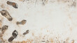 Dark footprints on a vintage grunge background background.