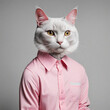 Stylish feline with pink hair in shirt. Monochromatic pink portrait.