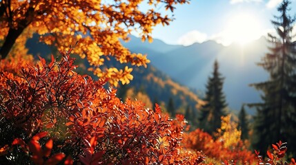 Poster - autumn in the mountains