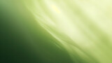 Fototapeta Łazienka - Soft green gradient, smooth transition for a simple and calming background