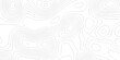 © armans - White wave paper curved reliefs abstract background black and white, Background of the topographic line map. Topographic map patterns abstract white topography vector background.