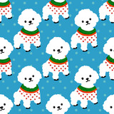 Fototapeta Kosmos - Cute Bichon Frise. White fluffy dog. Puppy wearing sweater. Pretty funny character. Cartoon Style. Hand drawn Vector illustartion. Squre Seamless Pattern. blue Background