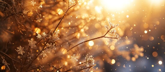 Wall Mural - Gleaming golden light illuminates small snowflakes on branches.