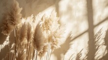Gorgeous Neutral Pampas Grass And Reed Hues Create A Visually Pleasing Backdrop, And The Way The Sun Casts Shadows On The Wall Gives Off A Hint Of Parisian Elegance.