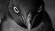  a close up of a black and white photo of a penguin with eyes drawn on it's face and beak.