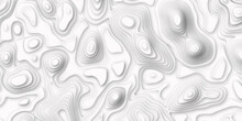 White, Grey Marble Texture With Natural Pattern For Background. Art Abstract White Fractal Pattern 3d Rendering. Topographic Map In Contour Line Geography Relief.