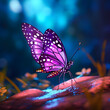 a rare purple butterfly