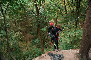 Wall Mural - In the forest. Man and woman doing climbing with use of safety equipment