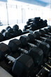 © Wavebreak Media - Dumbbells arranged on racks against window in health club, copy space