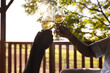 © Wavebreak Media - Hands of senior african american couple drinking wine toast on sunny terrace