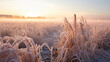 Spring frosts damaged winter crops