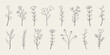 © Robin Khan - Set of floral botanical doodle. Hand drawn floral branches with leaves.