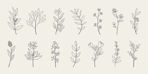 Set of floral botanical doodle. Hand drawn floral branches with leaves. 