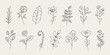 © Robin Khan - Set of hand drawn flowers, branches and leaves. Doodle style minimalistic flowers with elegant leaves.