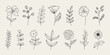 Set of botanical hand drawn leaves, branches, and blooming flowers.
