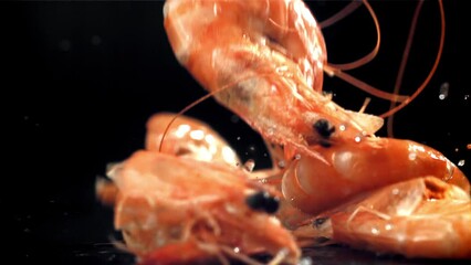 Poster - Shrimp falling on a black background. Filmed on a high-speed camera at 1000 fps. High quality FullHD footage